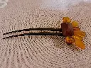 20250420_211253.webp