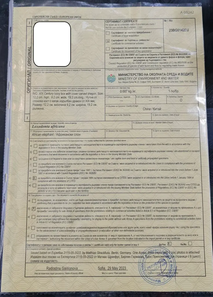 certificate.webp