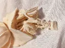 1000077333.webp