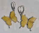 Authentic Baltic amber pair of earrings butterfly with 925 sterling silver