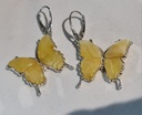Authentic Baltic amber pair of earrings butterfly with 925 sterling silver