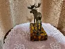 20250420_203432.webp