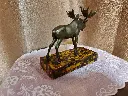 20250420_203428.webp