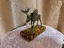 20250420_203417.webp